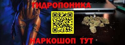 прущий лед Новозыбков