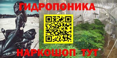 прущий лед Новозыбков