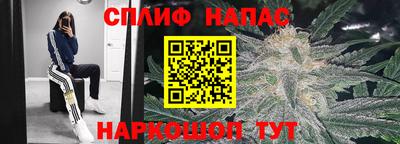 прущий лед Новозыбков